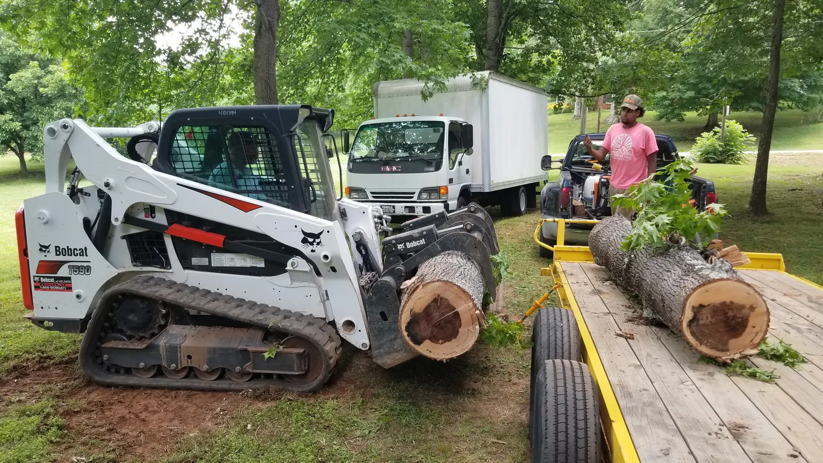 Tree Services detail photo