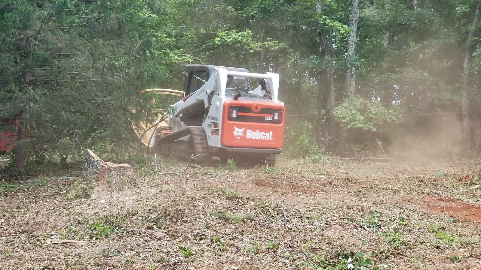 Bobcat mulching brush at the edge of the woods