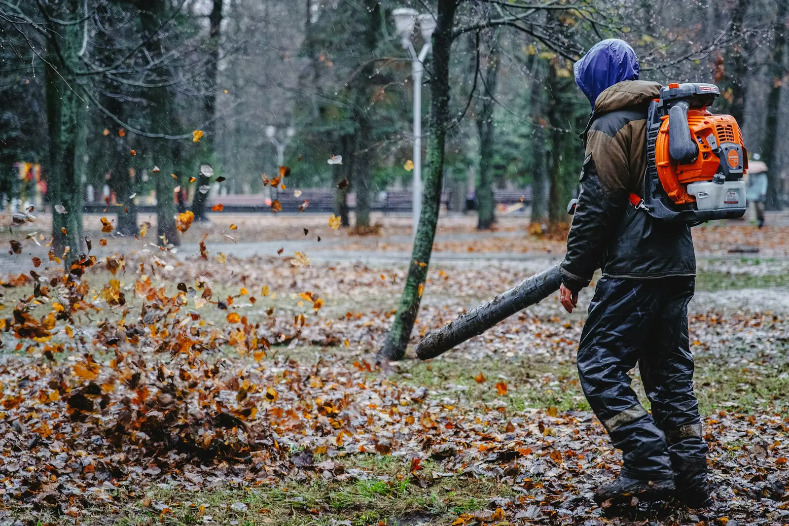 Leaf Removal photo 3