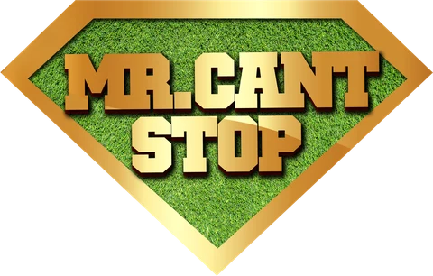 MR. CANT STOP