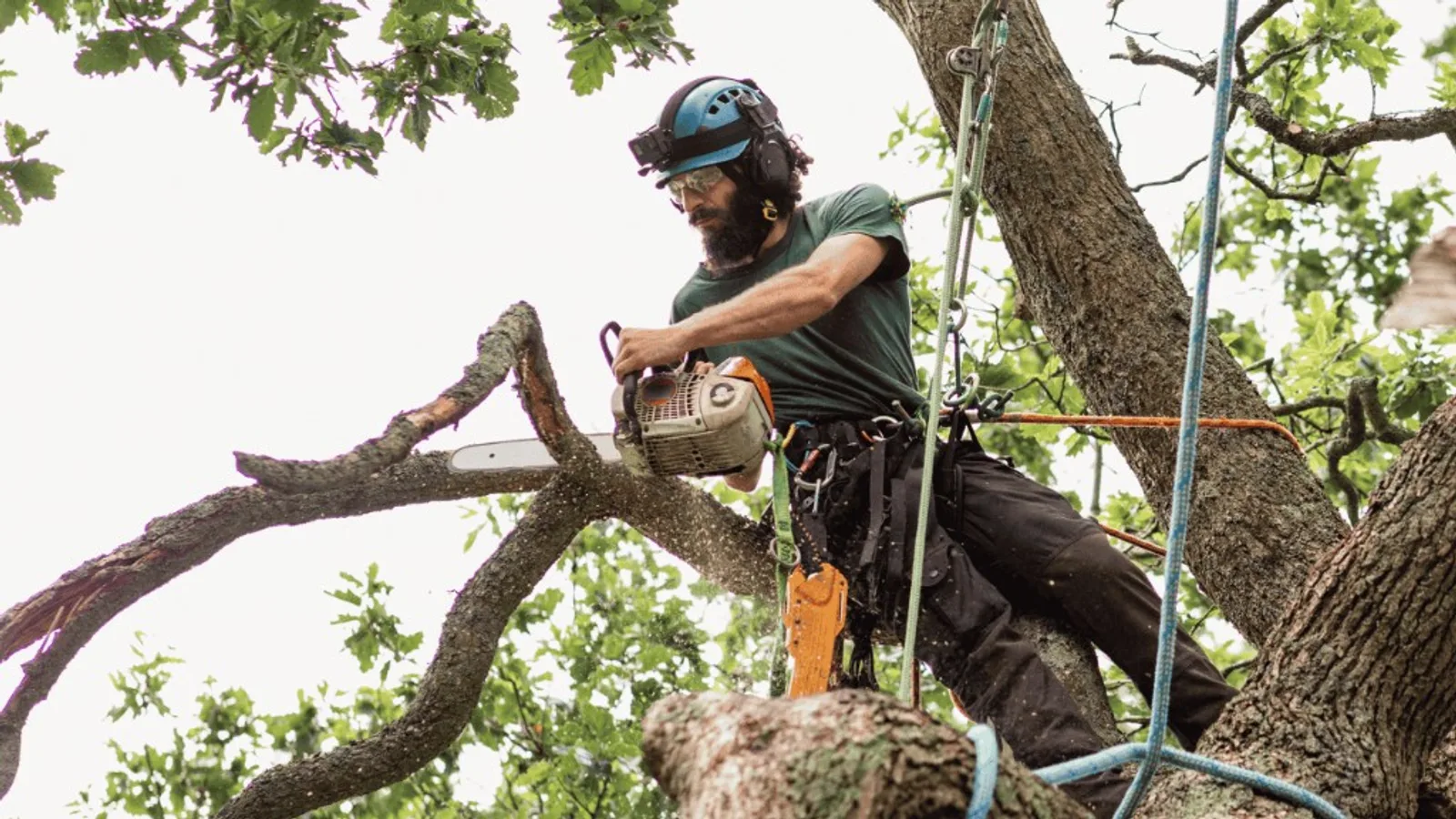 Tree work and log hauling on a residential property