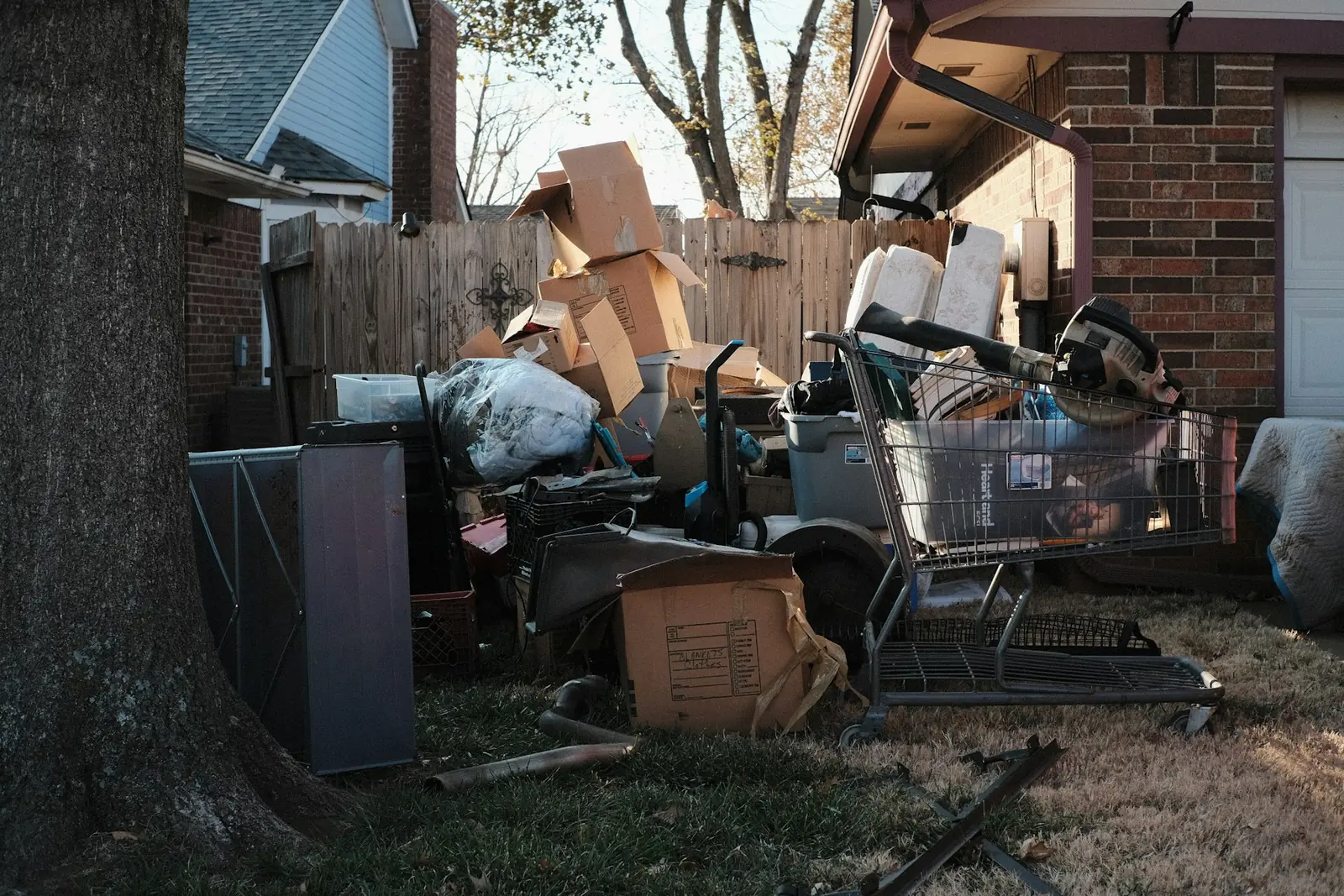 Yard Cleanup photo 4