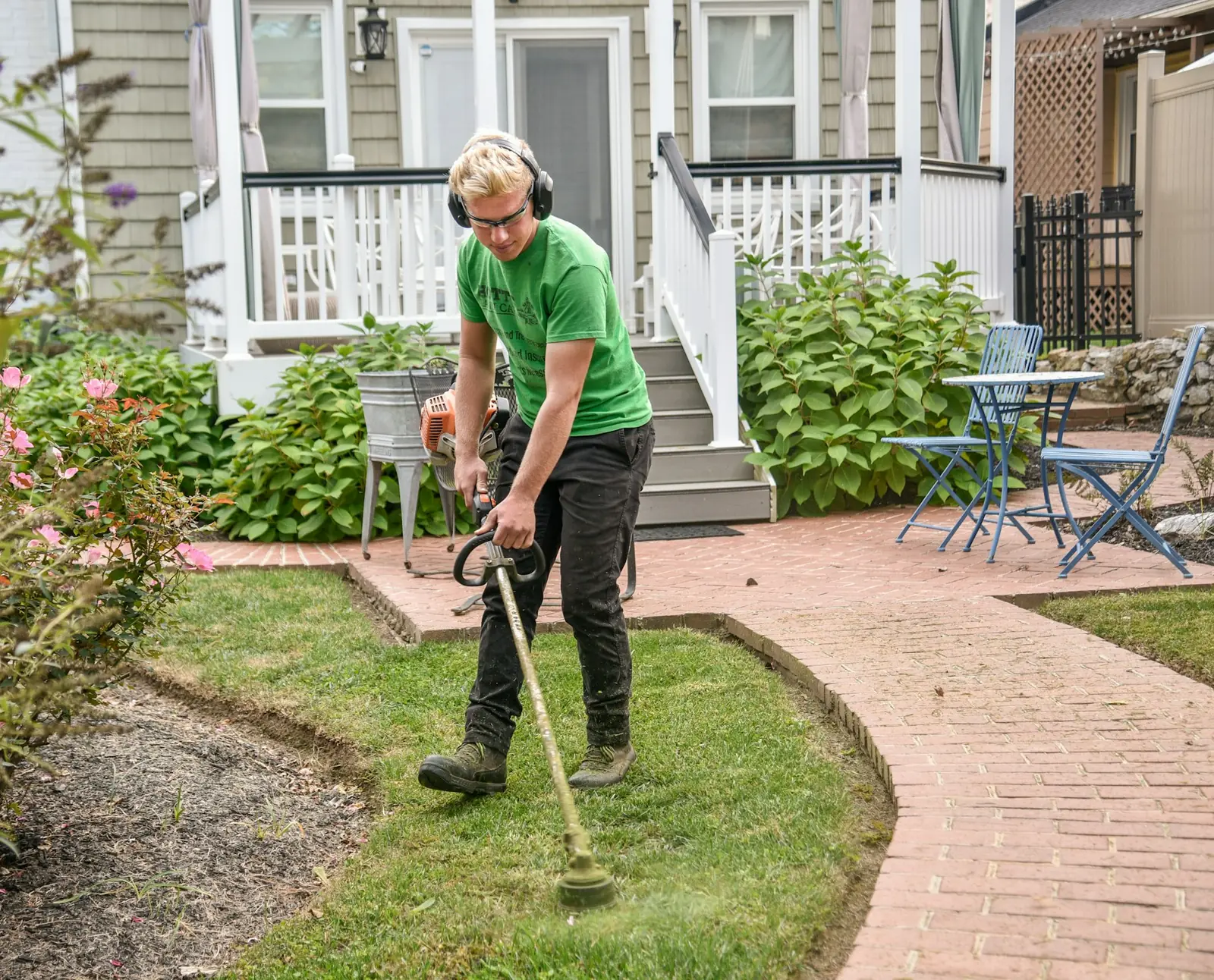 Yard Cleanup photo 3