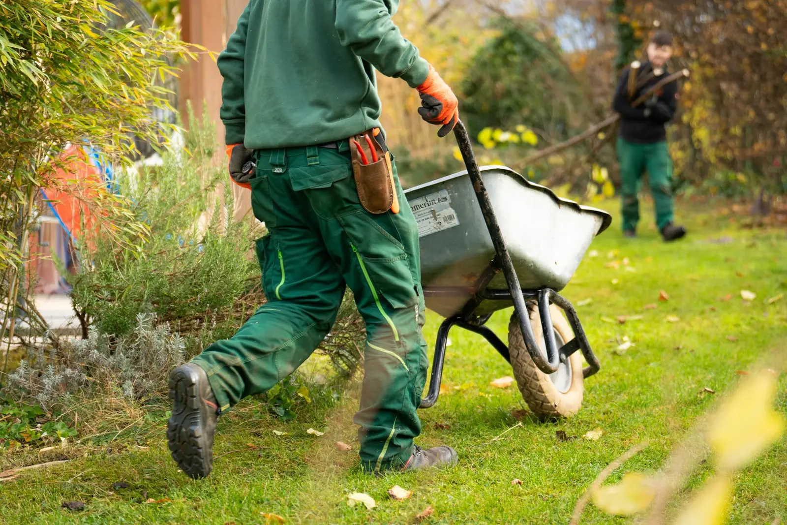 Yard Cleanup service photo